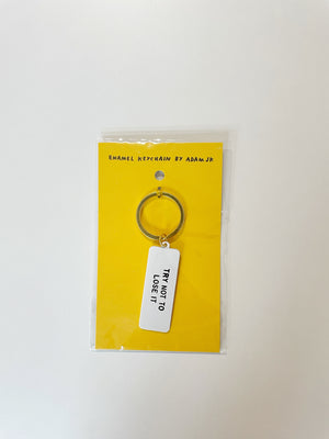 Key Ring - try not to lose